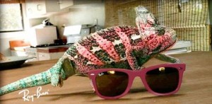 Ray-Ban rayban eyewear 2010 gözlük modelleri güneş gözlükleri