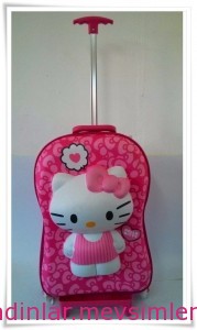 pembe bayan valizleri 016 2014