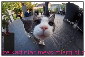 en iyi selfie çekmenin püf noktaları ipuçları 003 selfie nasıl çekilir